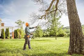  Kingsburg, CA Tree Removal and Landscaping Services Pros